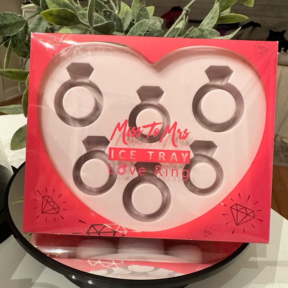 🚨 Engagement ring ice mold 🧊